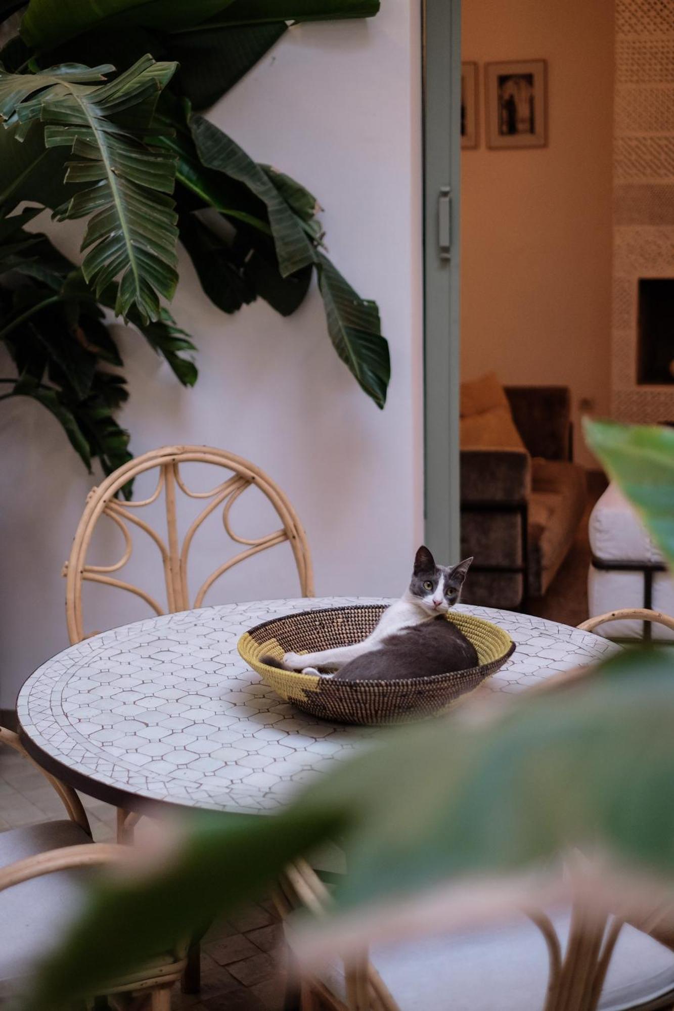 Riad Danka Marrakesh Luaran gambar
