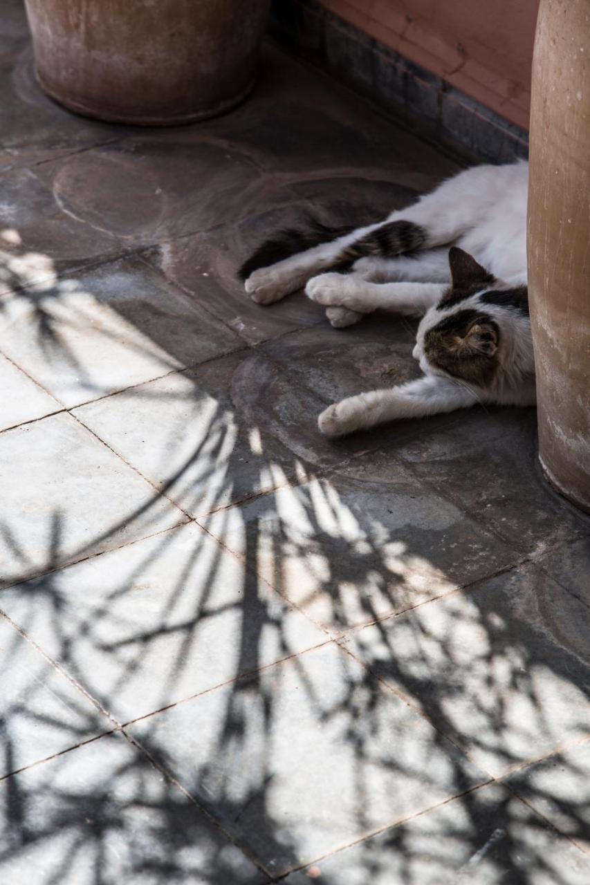 Riad Danka Marrakesh Luaran gambar